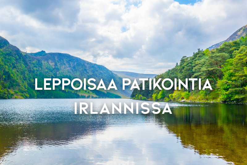Patikka_kansi
